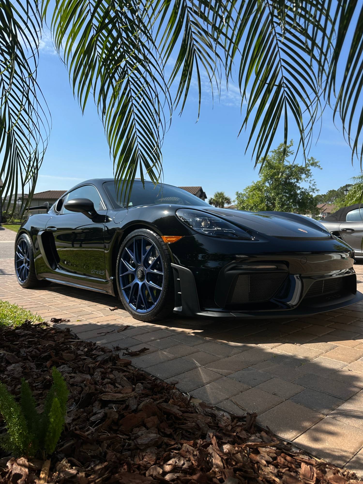 Porsche GT4 RS under the palms