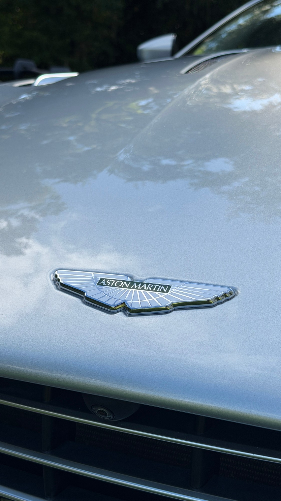 Aston Martin hood badge and reflections